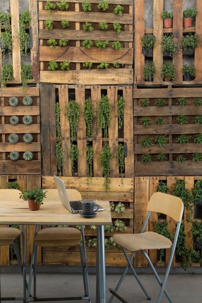 Paredes de restaurante decorada con palets y plantas